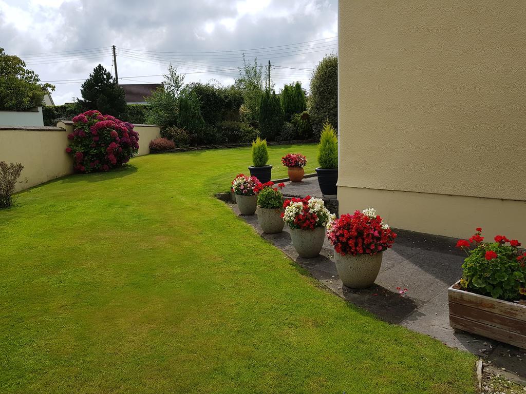Headdons Bed & Breakfast Holsworthy Bagian luar foto